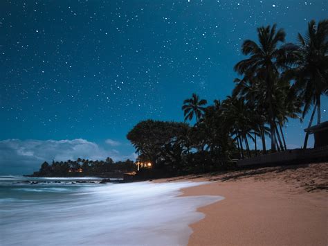 Hawaiian Night Sportingbet